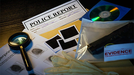 Police Reports